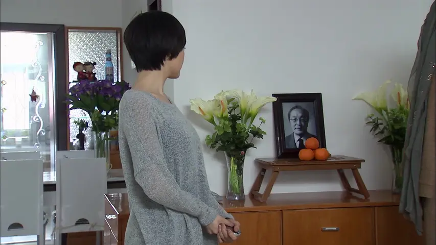迷案追凶 12集