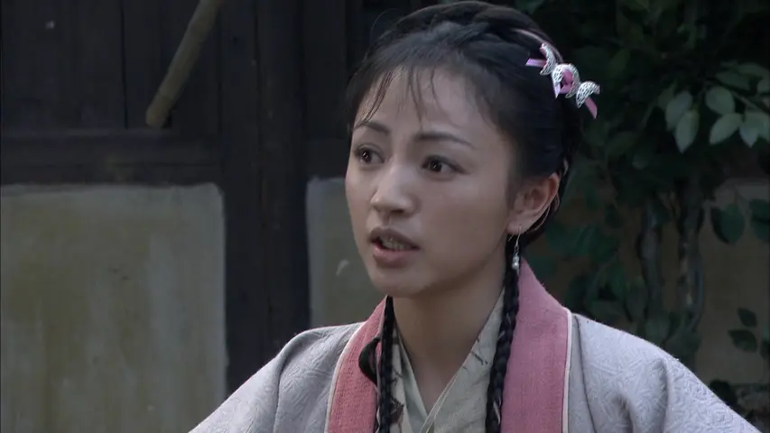 大宋提刑官第一部 8集
