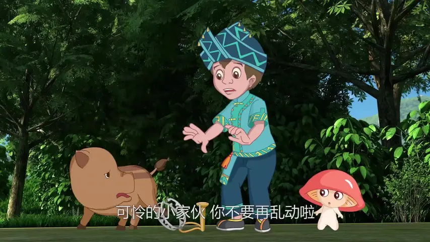 喀斯特神奇之旅第一季 13集