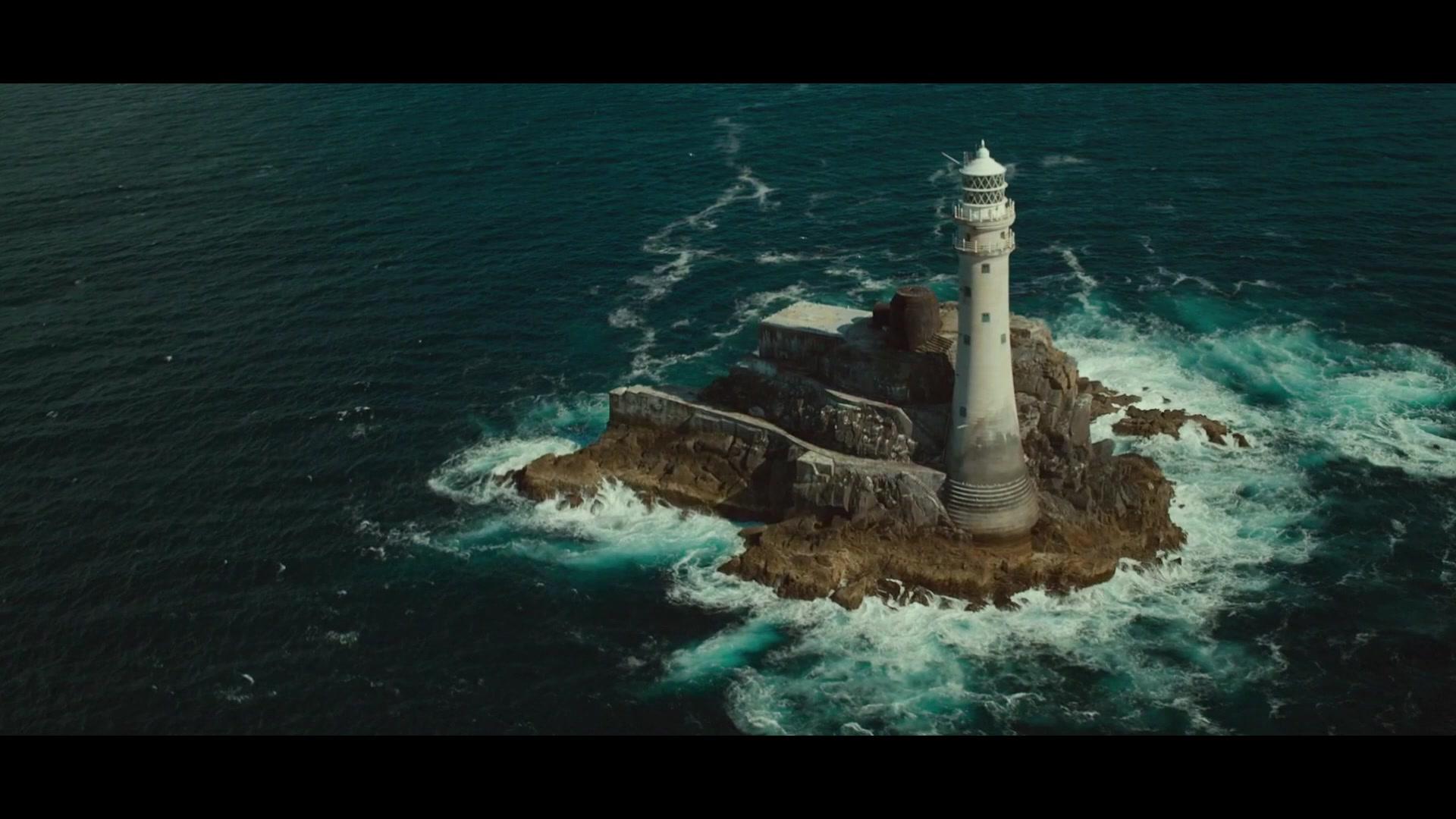 不羁的花朵视频封面图