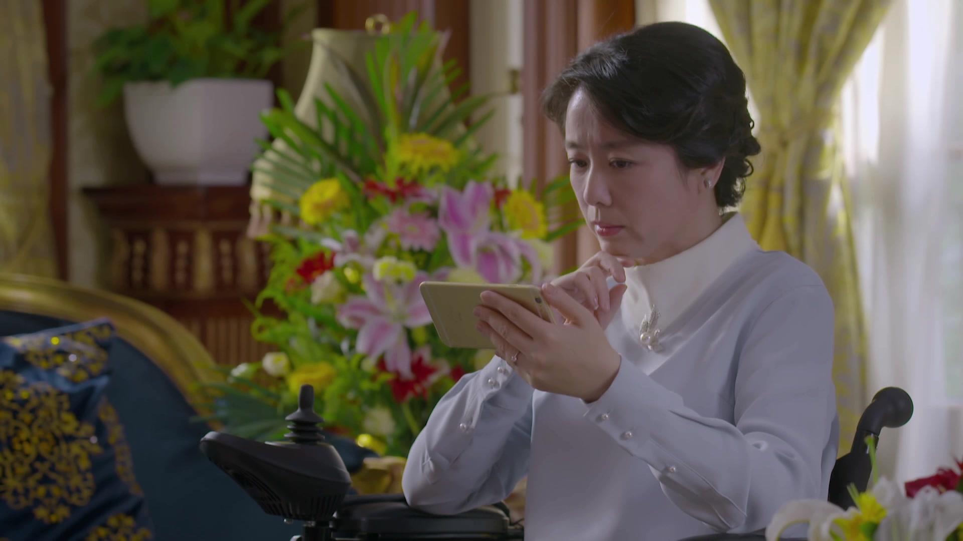 领养 第43集视频封面图
