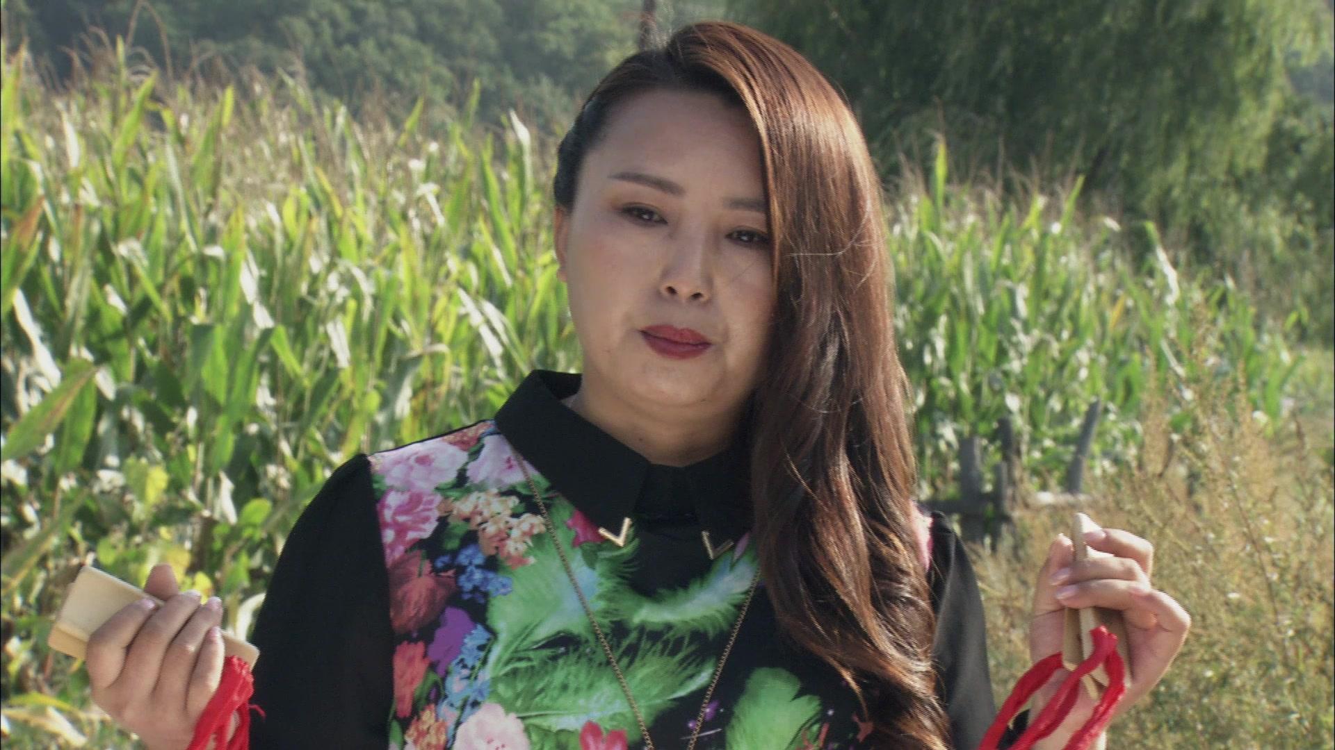 多彩庄家院 第12集视频封面图