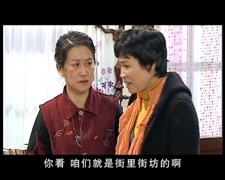 鸡毛蒜皮没小事第二部 第33集视频封面图