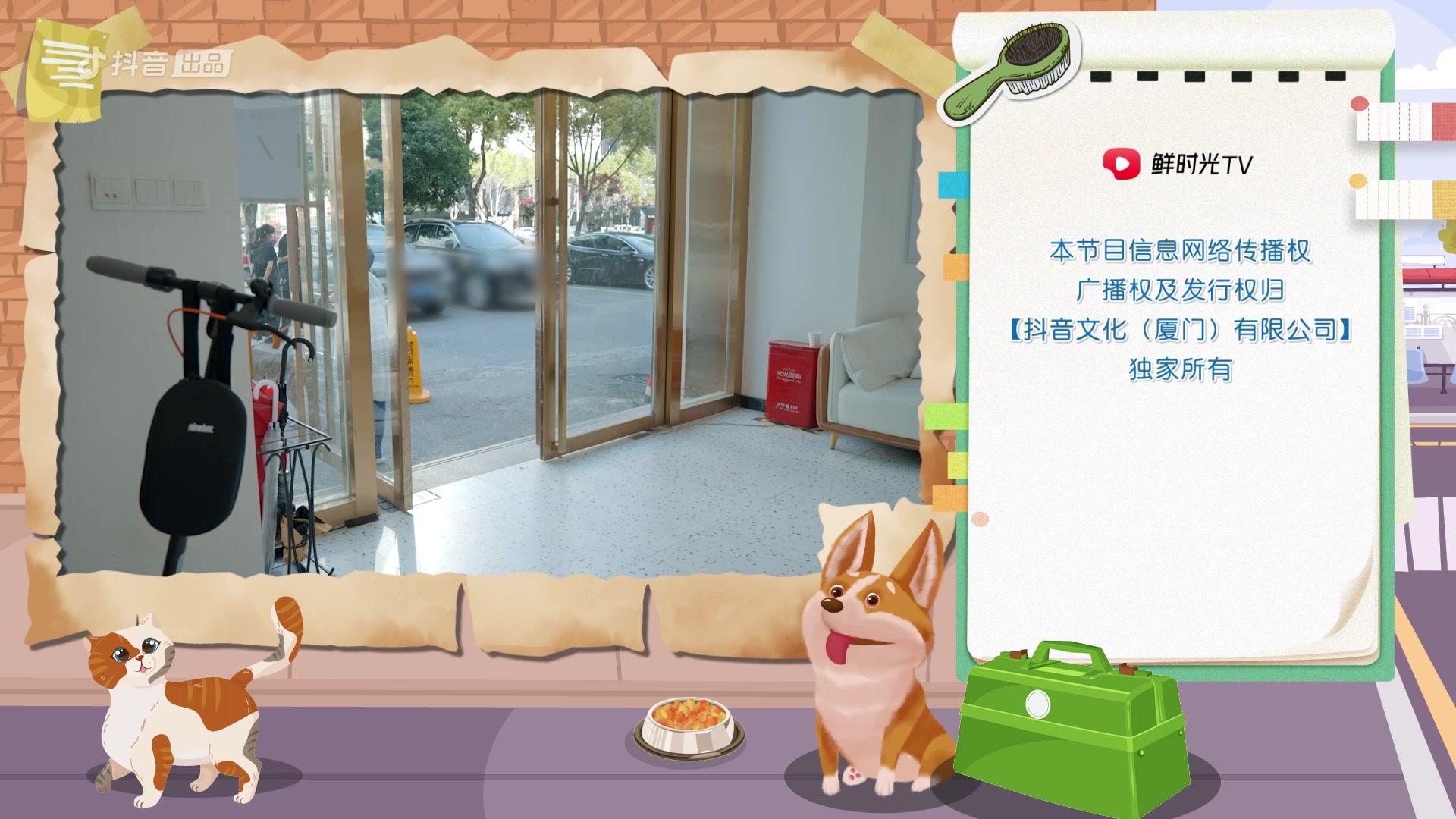 《宠物医生第二季》第7期视频封面图