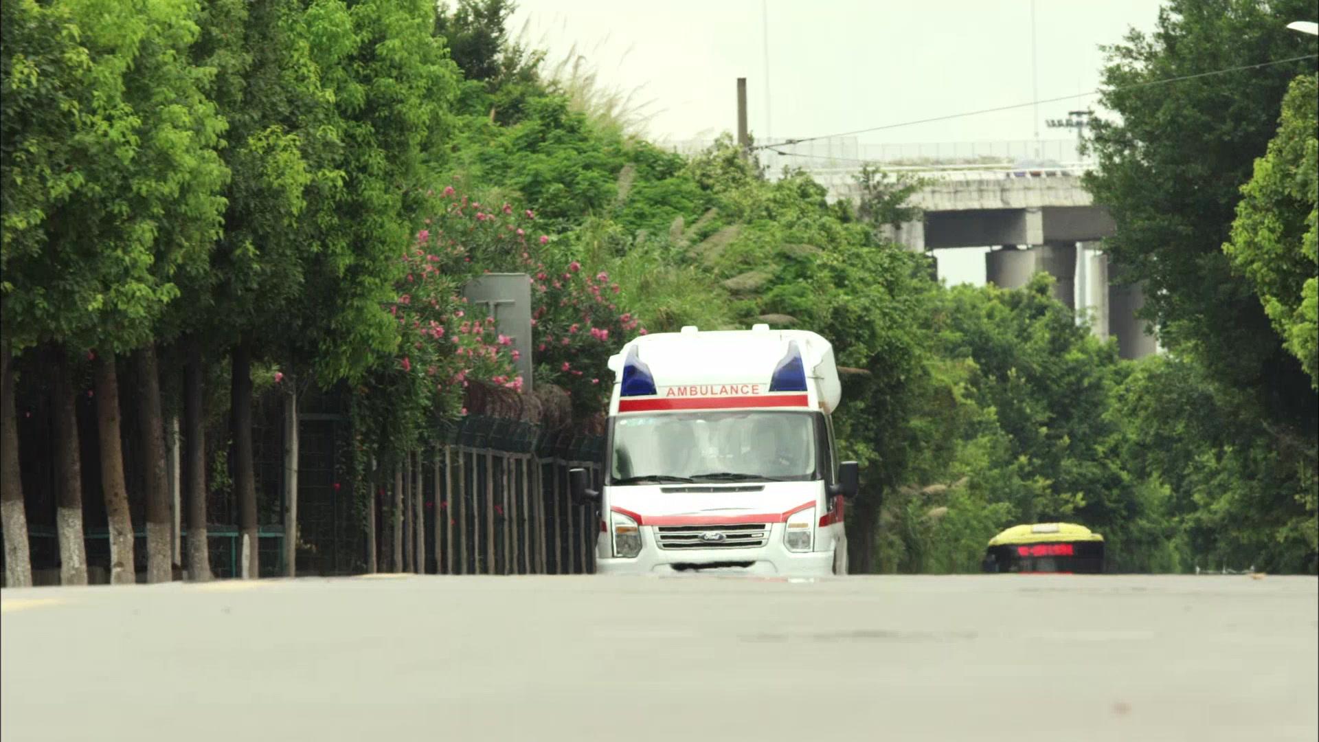 利刃出击 第22集视频封面图