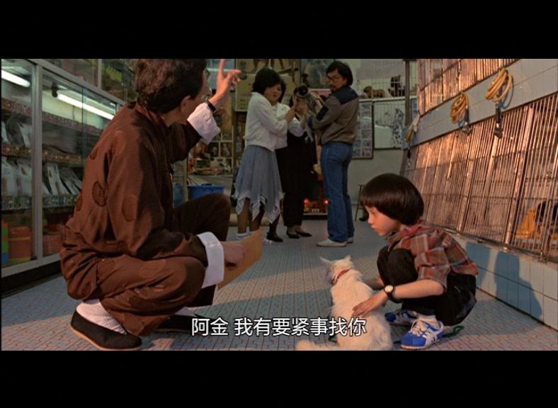 皇家大贼视频封面图