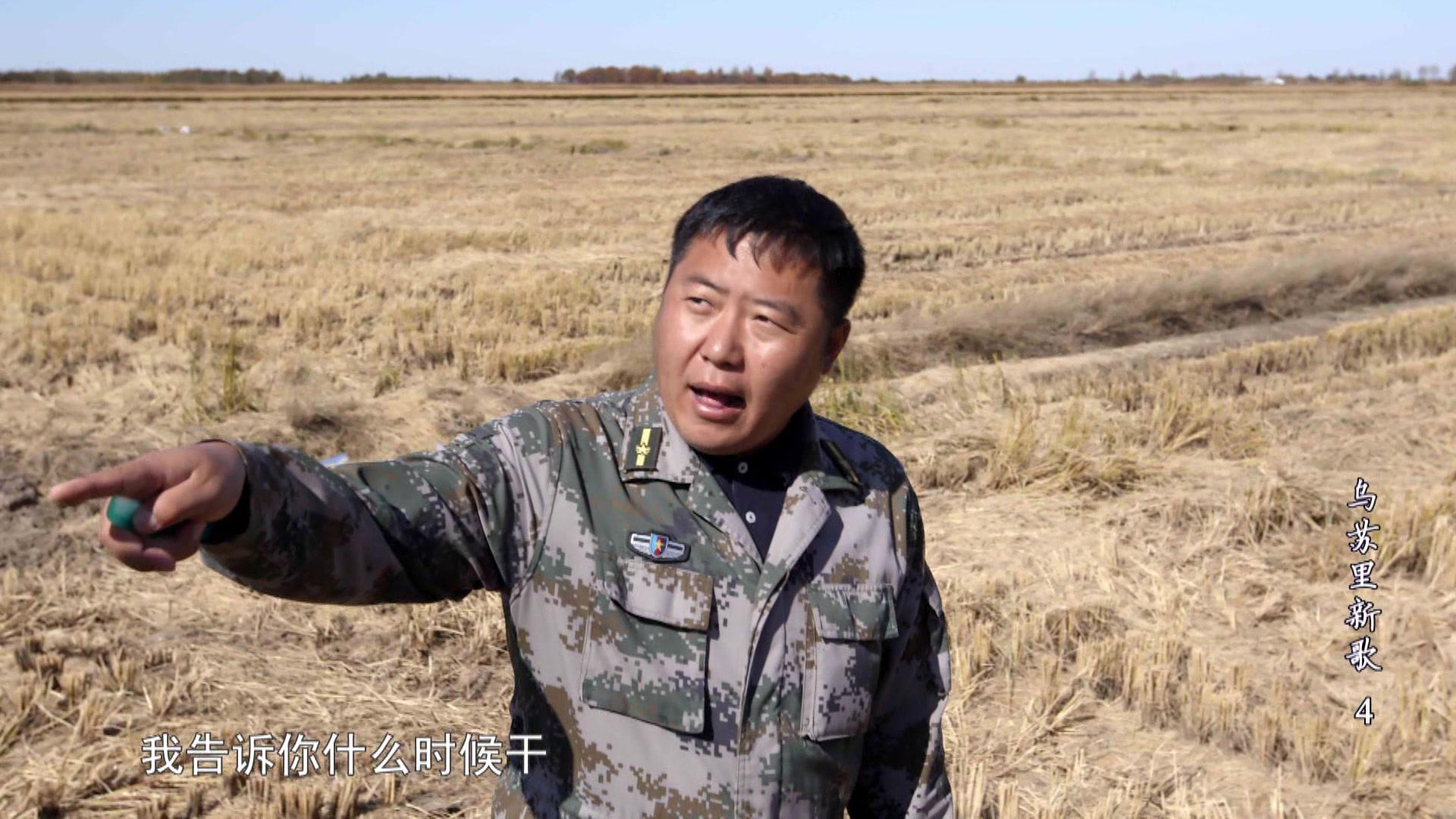 《希望的田野：乌苏里新歌》第4集视频封面图
