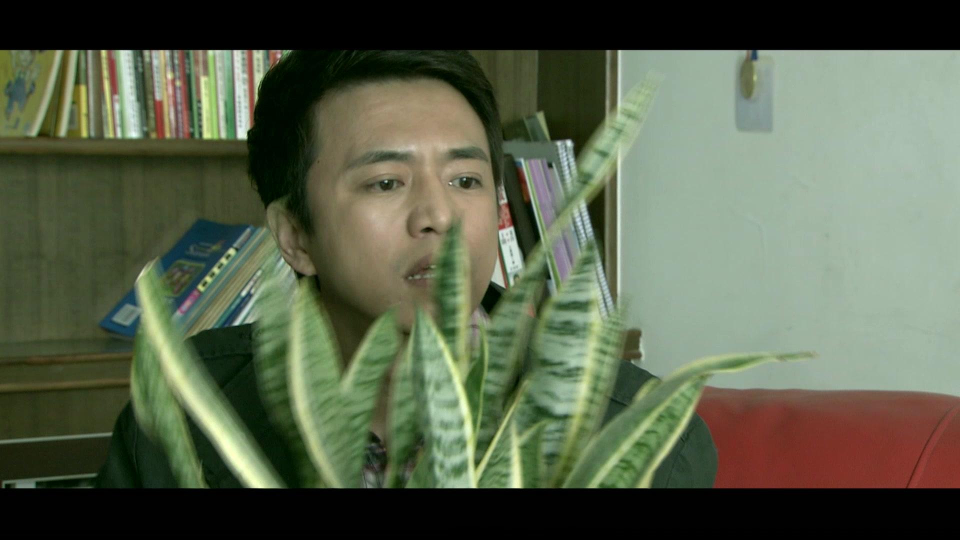 情缘 第6集视频封面图