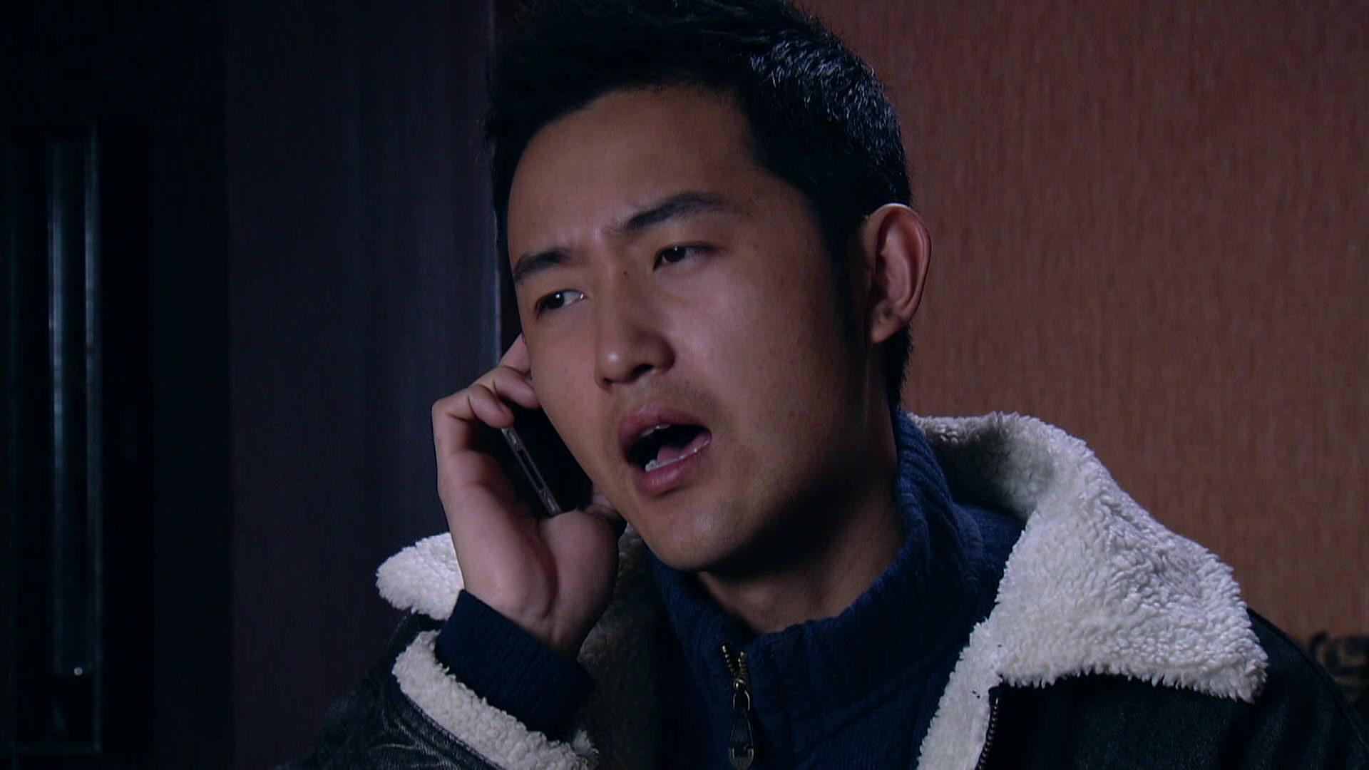 野鸽子 第14集视频封面图