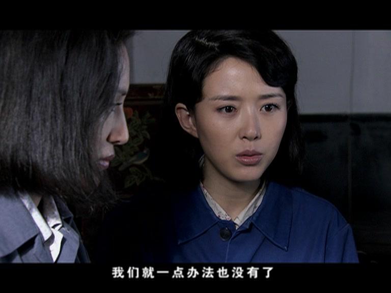 女人树 第23集视频封面图