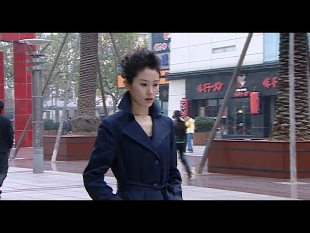 嫂子的情感时代 20集