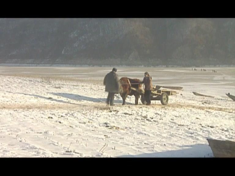 老嘎包村记 15集