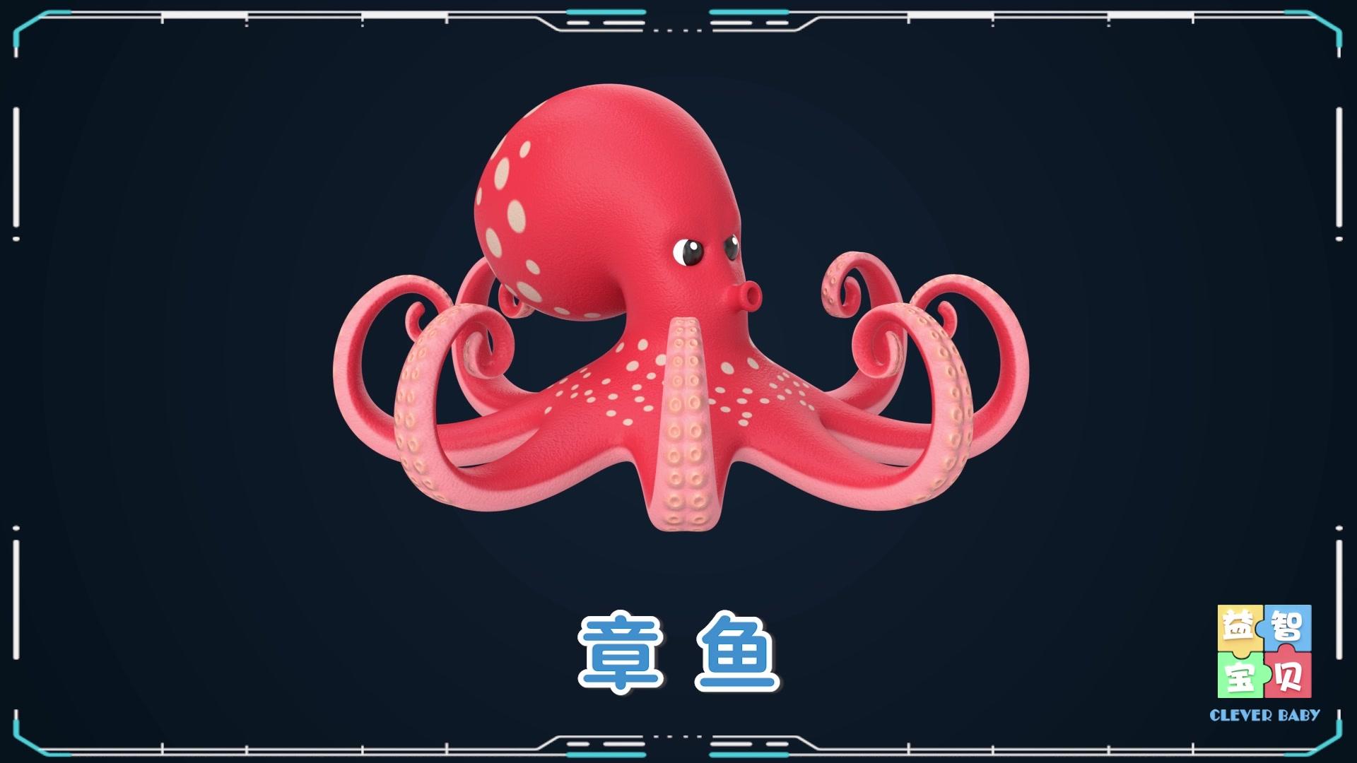 益智宝贝 第231集视频封面图