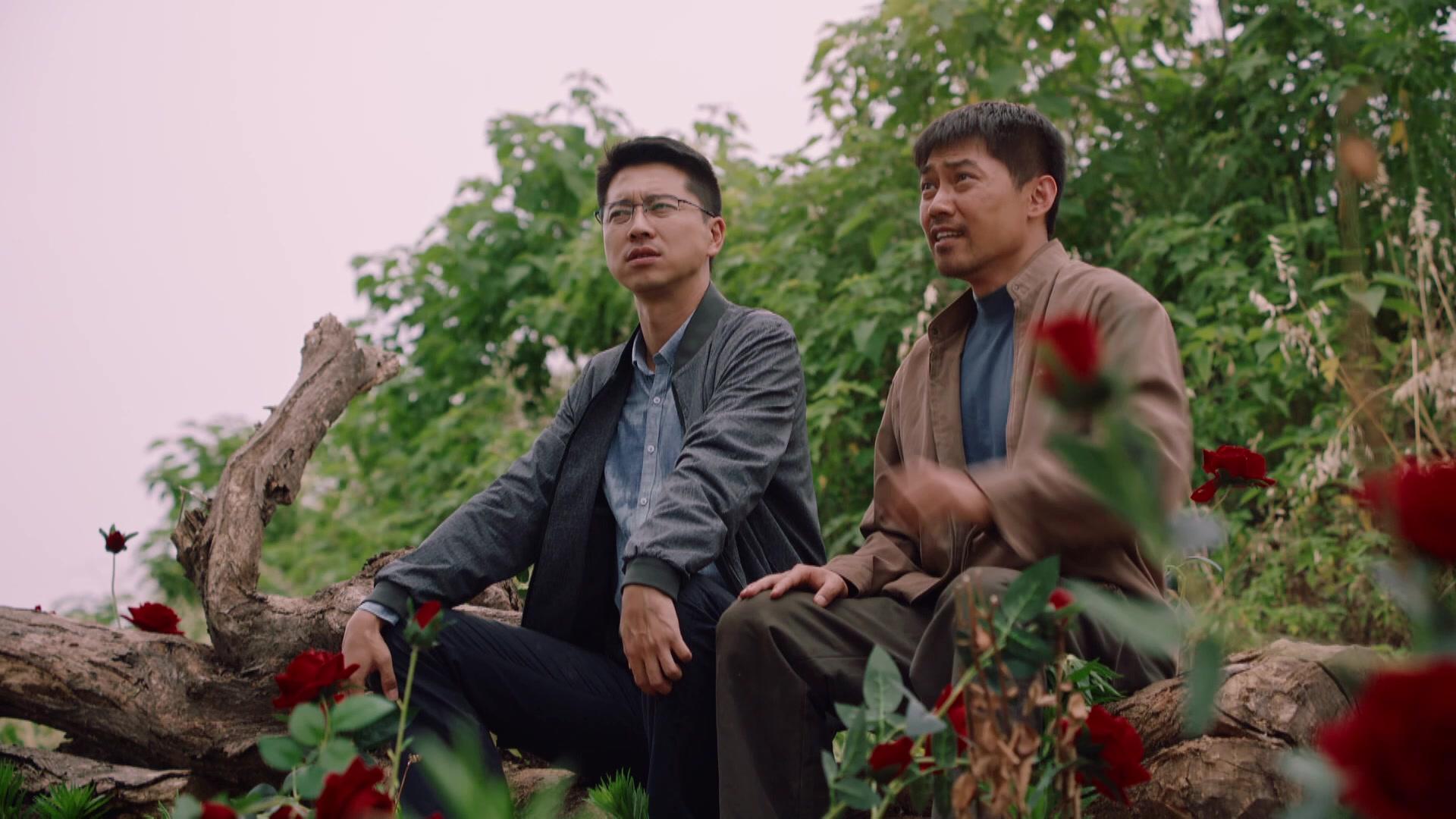 花开山乡 第13集视频封面图