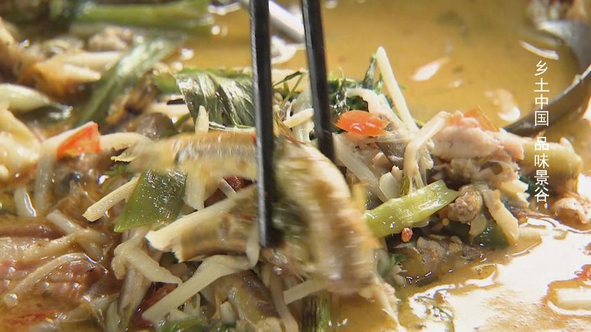 《乡土中国》第26集