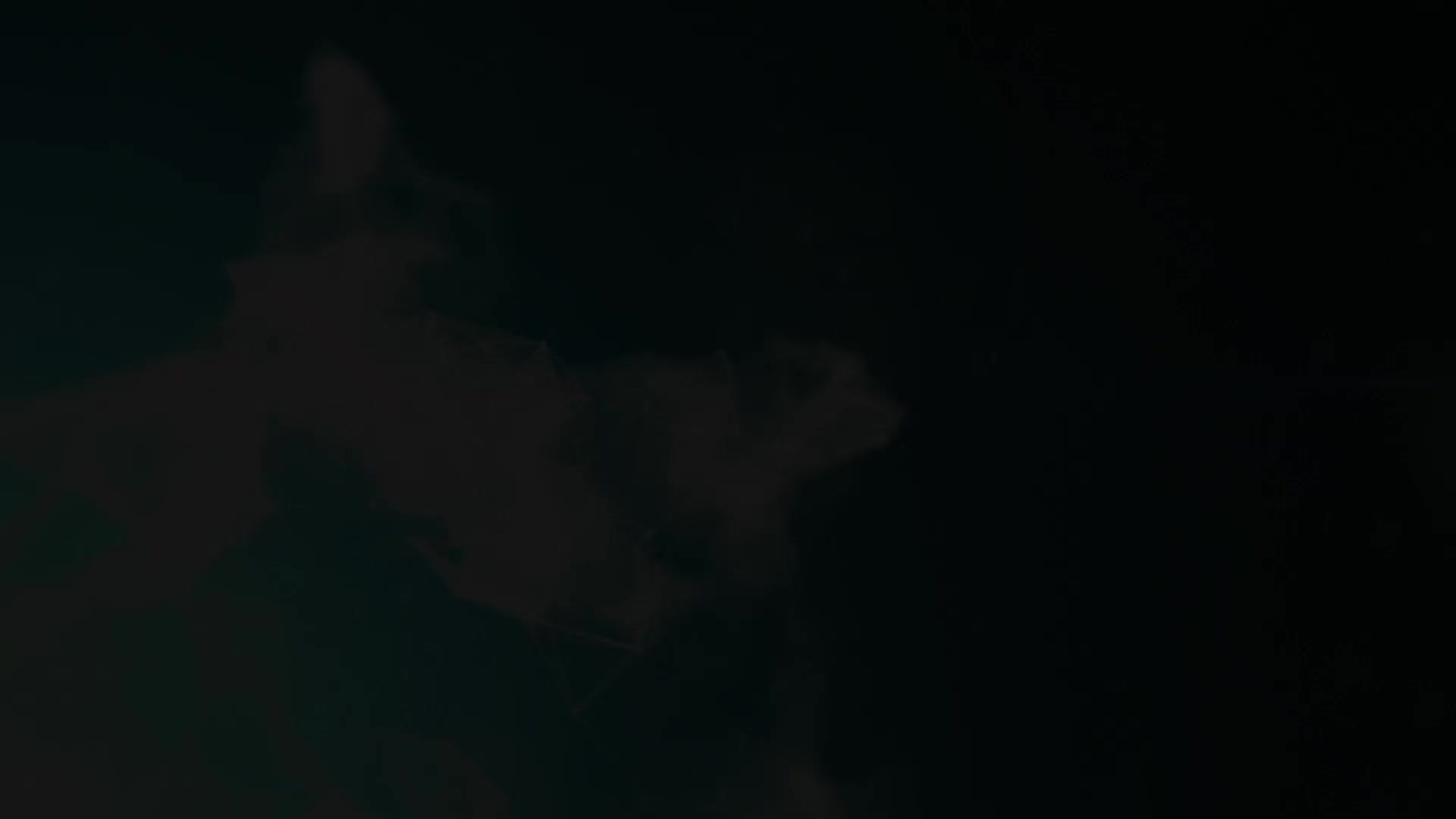 执念师第二部 第10集视频封面图