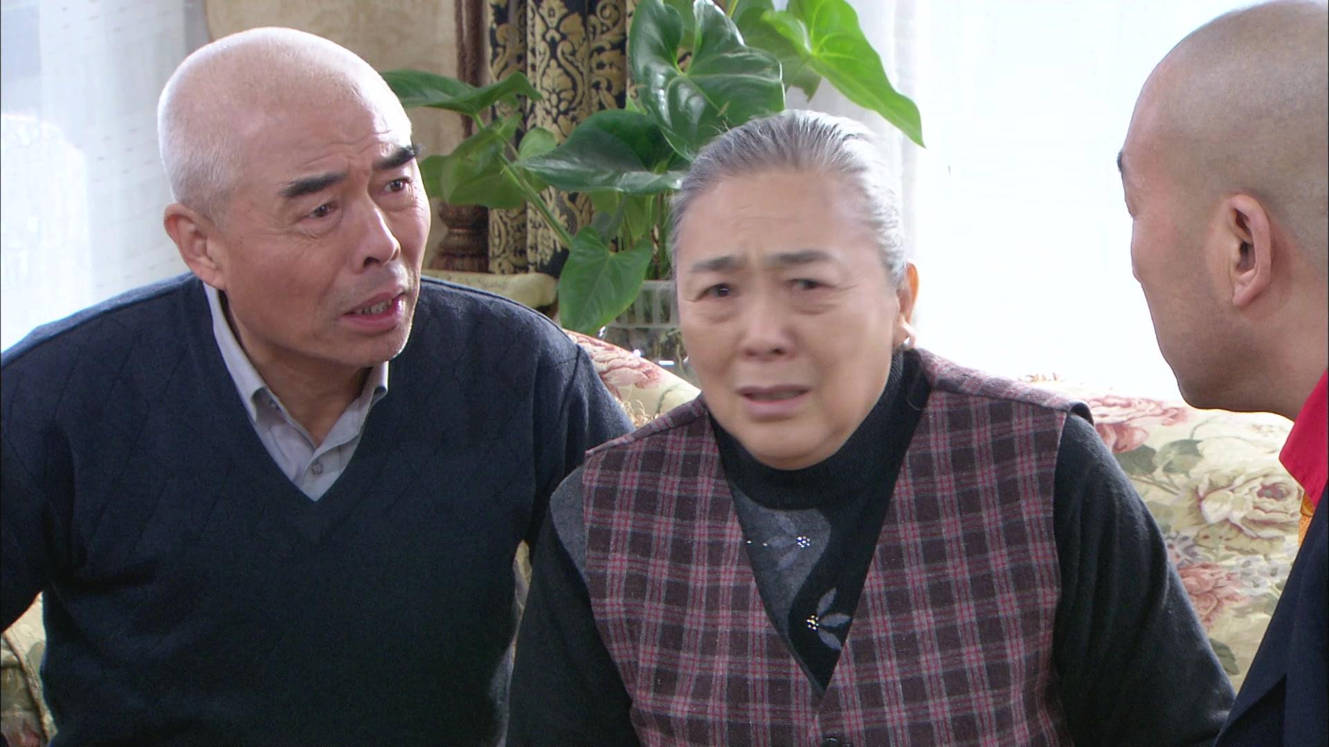 憨妻的都市日记 第8集视频封面图