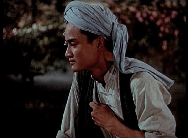 五朵金花视频封面图