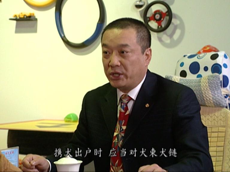 交通队的故事 第22集视频封面图