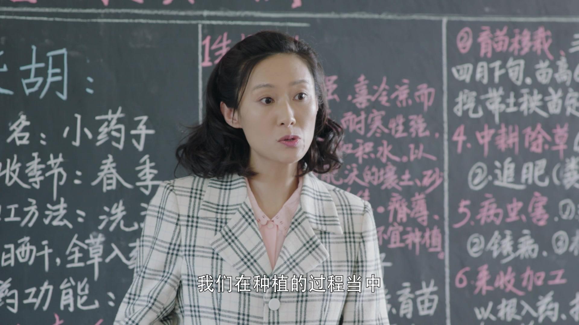 黄土高天 第13集视频封面图