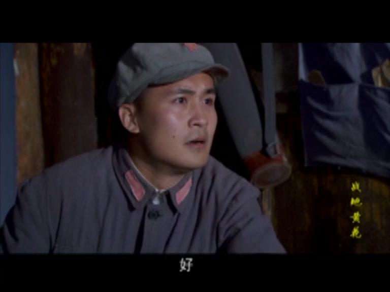战地黄花 第16集视频封面图