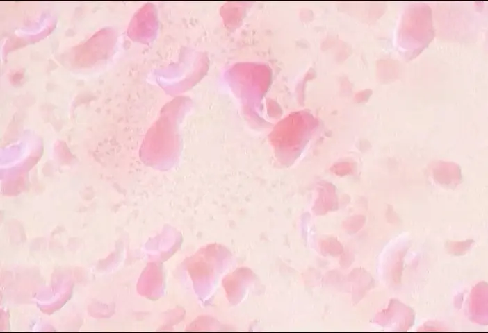 非常婚庆 13集