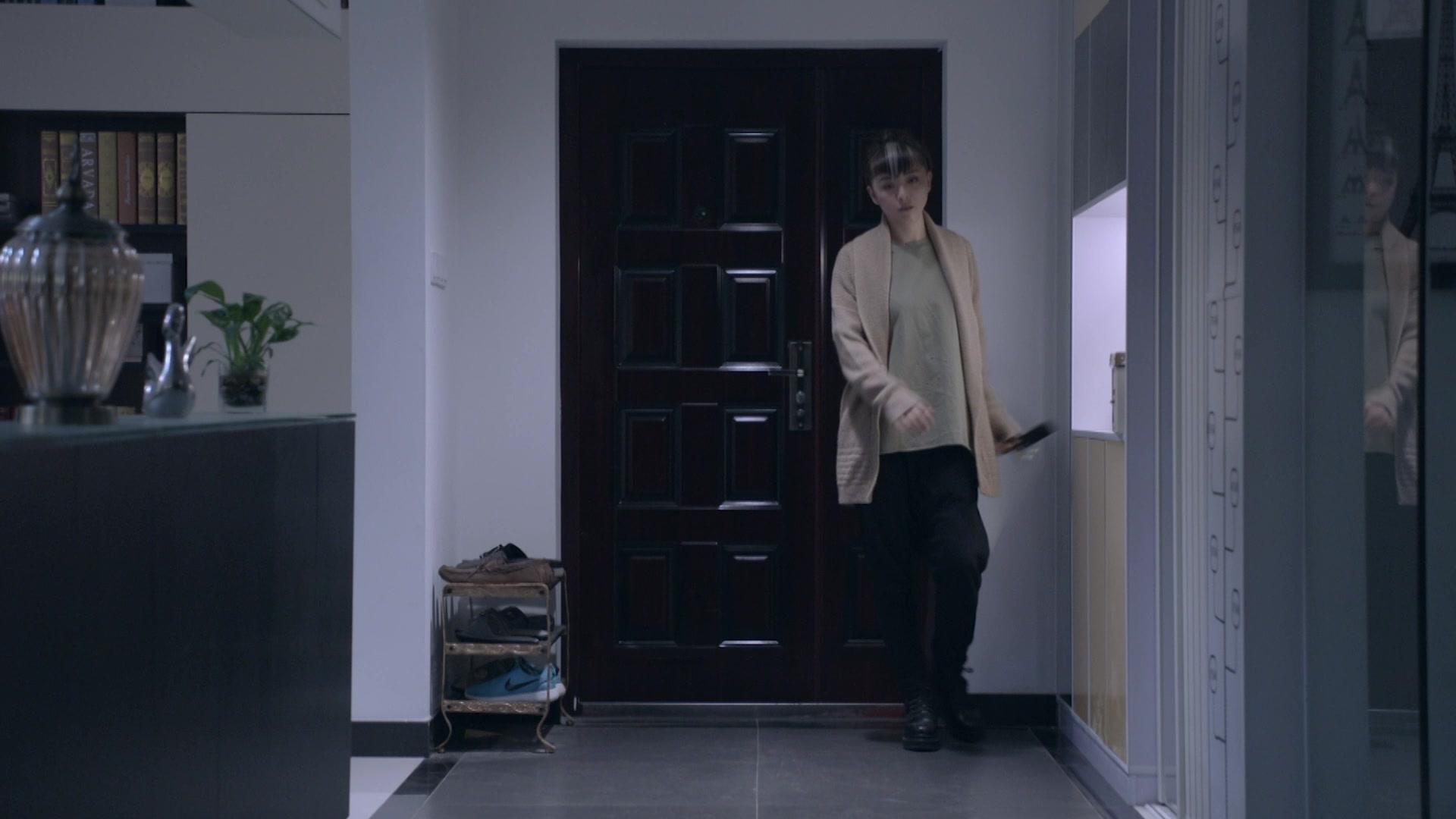 极品一家人 第33集视频封面图