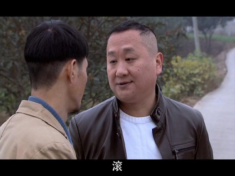 鲜花盛开的村庄 第20集视频封面图