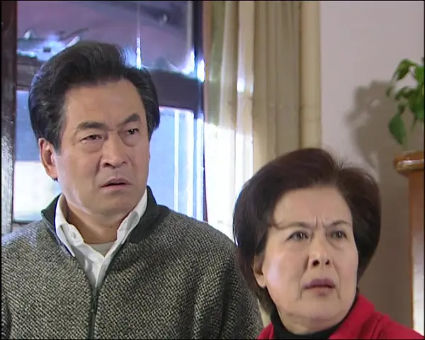 天若有情第二部 30集