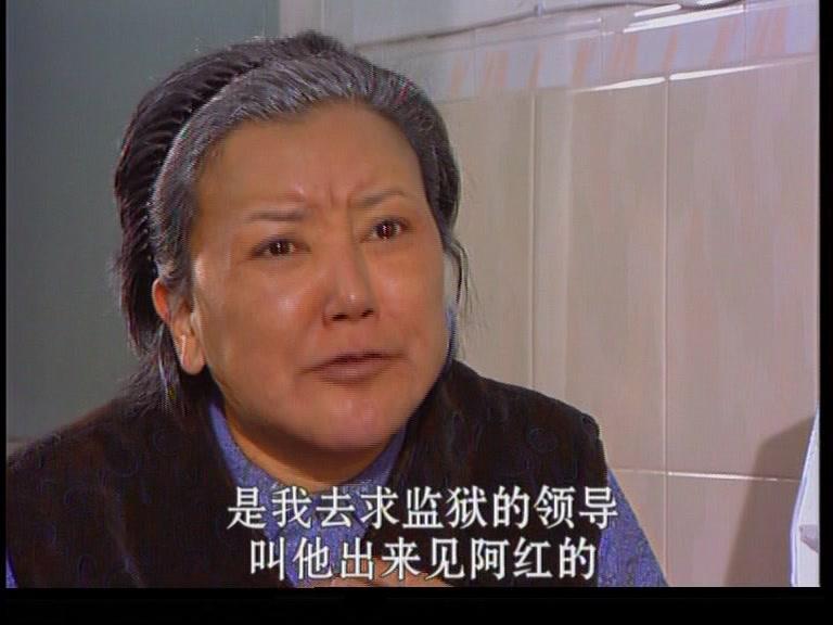 天下有情之天涯路 第2集视频封面图