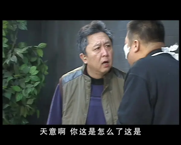 鸡毛蒜皮没小事第二部 29集