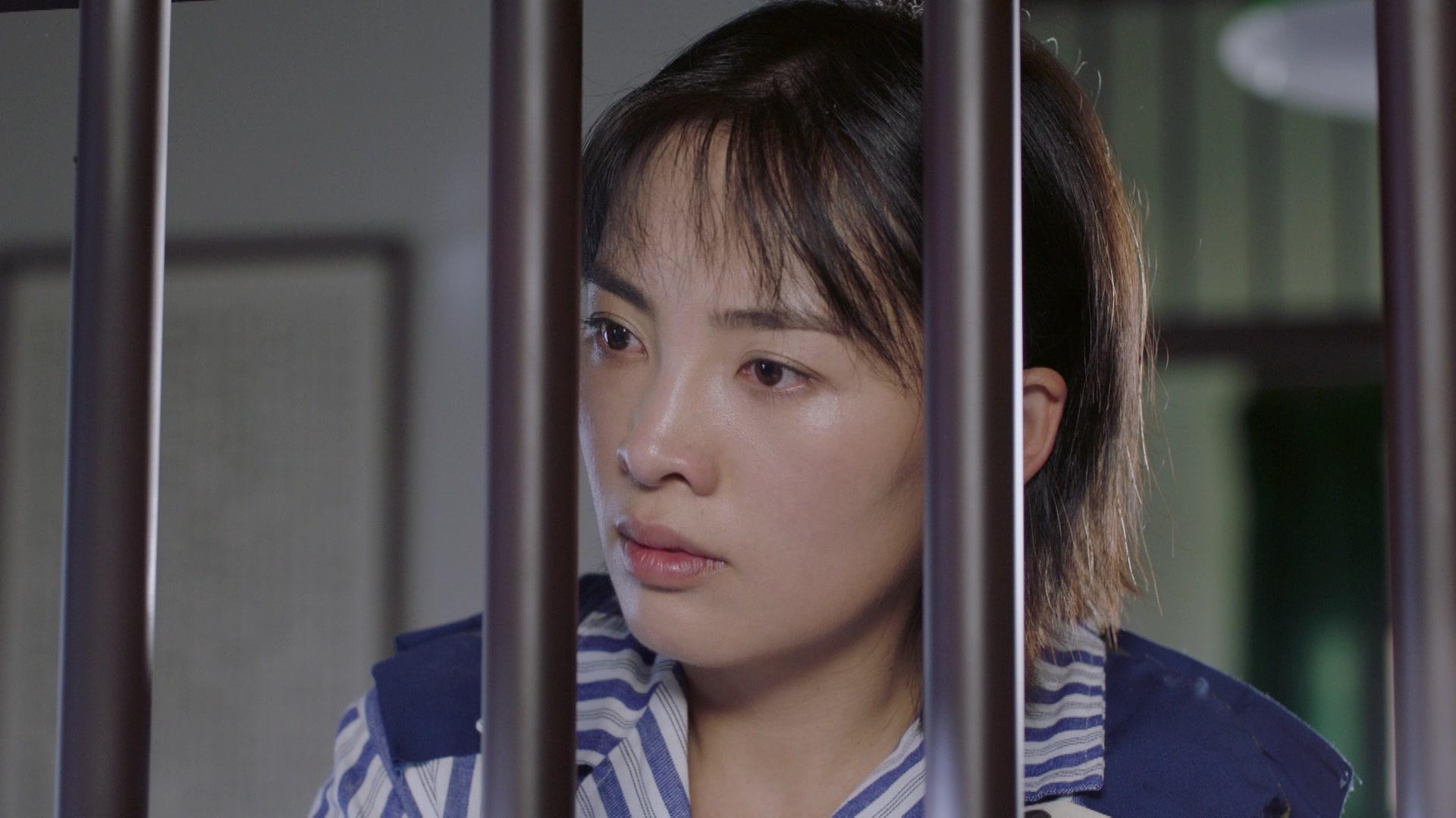 天涯热土 第14集视频封面图