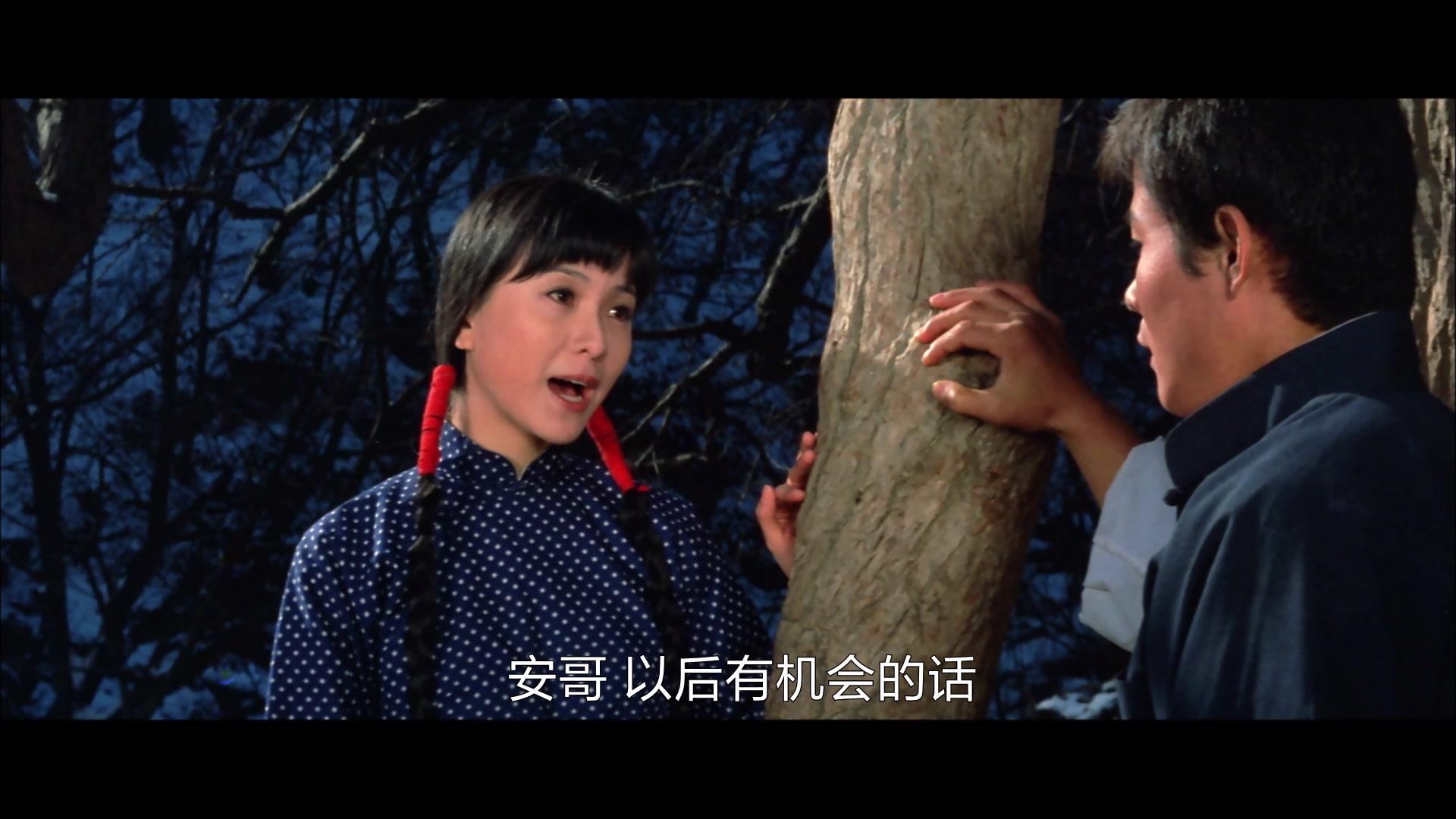 北地虎视频封面图