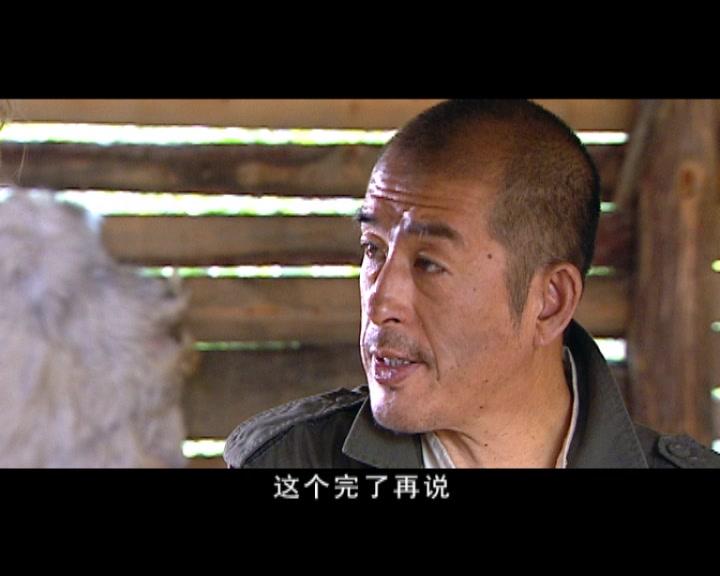 幸存者 第12集视频封面图