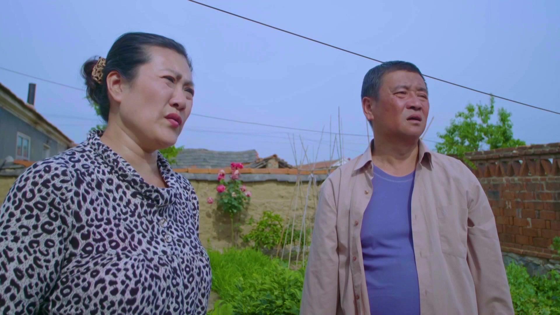 茶乡花正开 第9集视频封面图