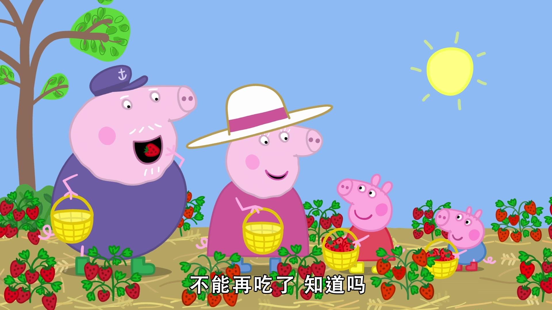 小猪佩奇第八季 第12集视频封面图