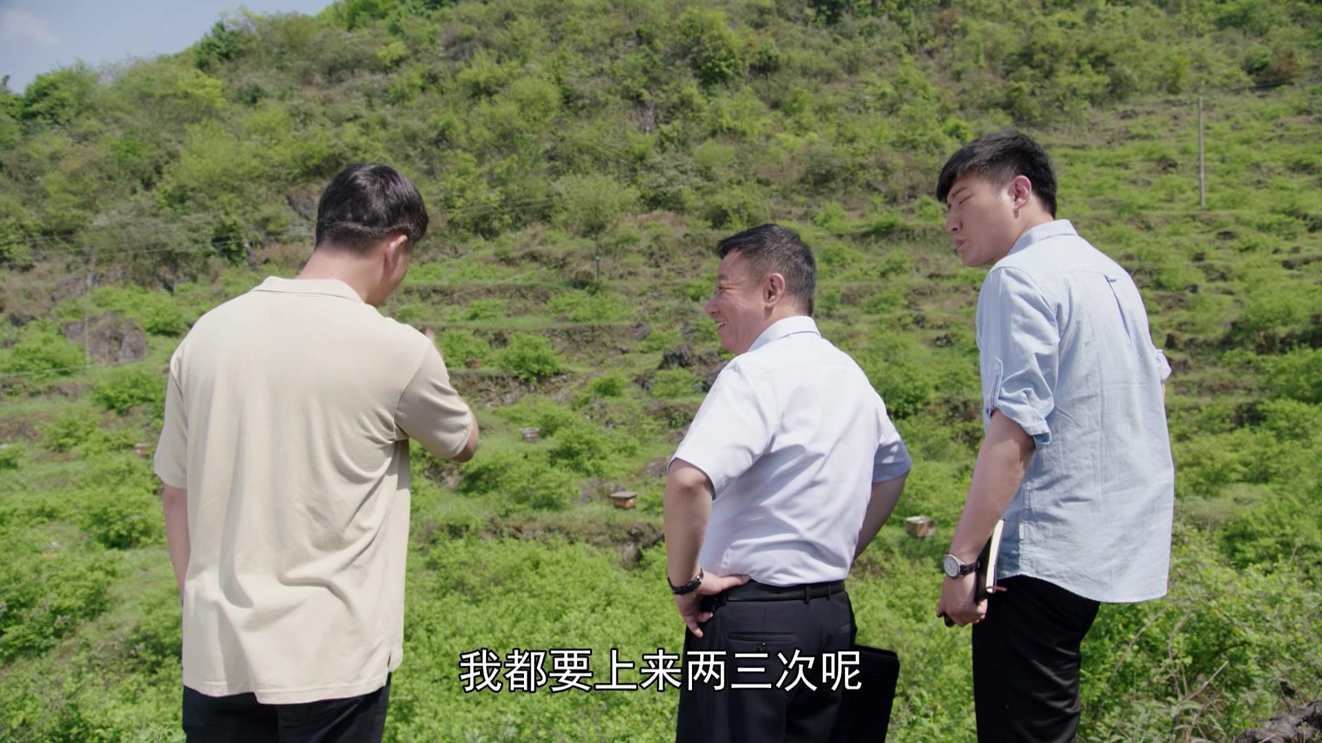 花繁叶茂 第21集视频封面图