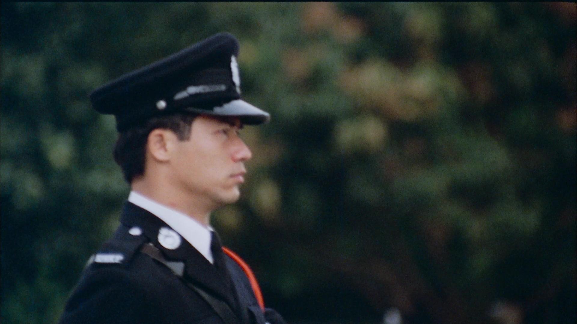 西环的故事视频封面图