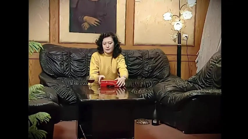 平平常常的故事 11集