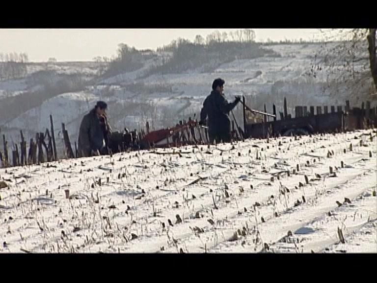 老嘎包村记 第5集视频封面图