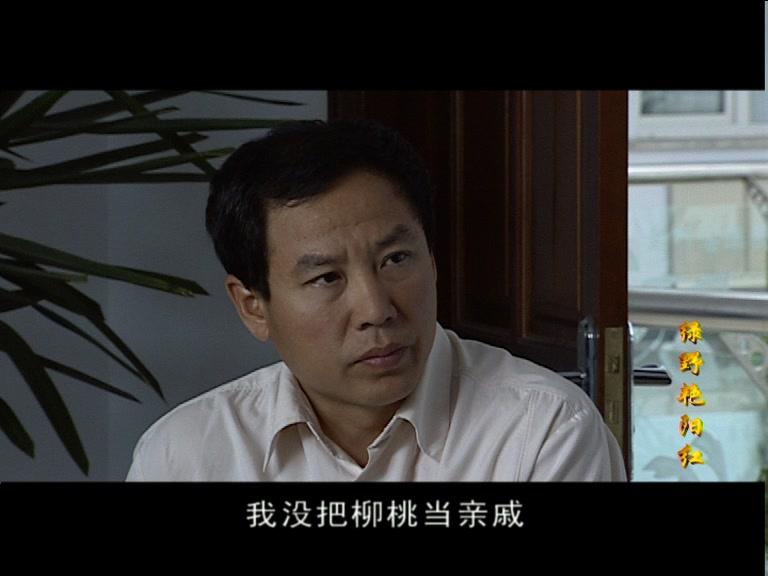 绿野艳阳红 第21集视频封面图