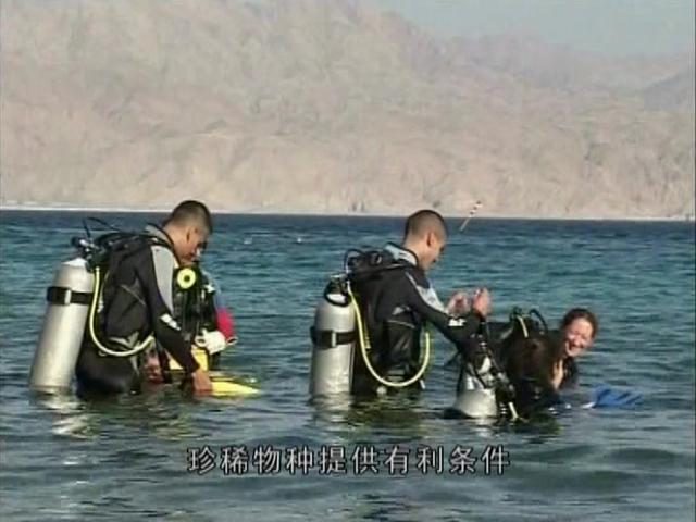 《环游世界之极地求生》第5集