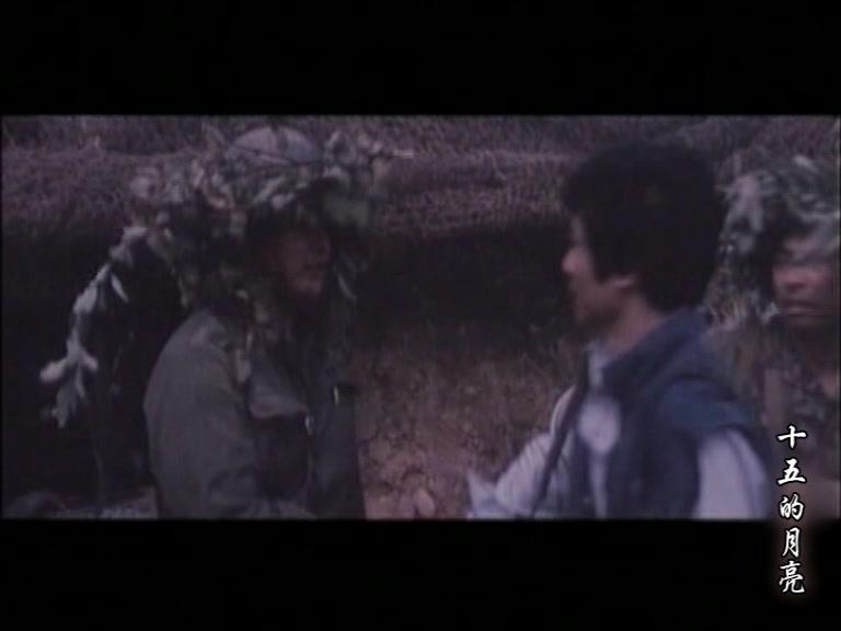 十五的月亮视频封面图