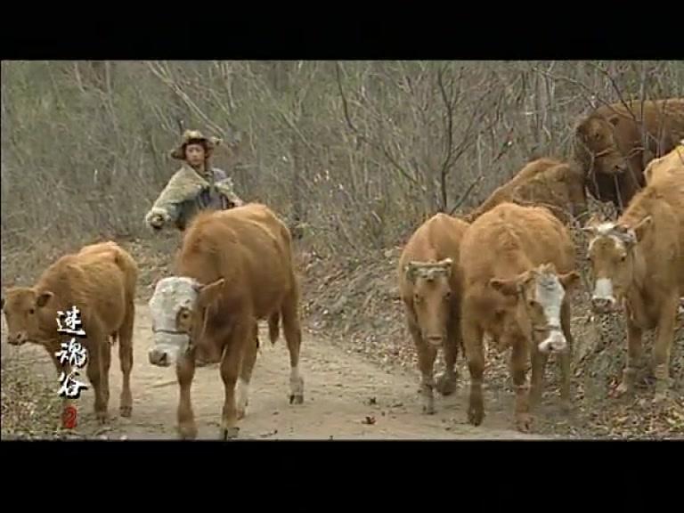 迷魂谷 第2集视频封面图