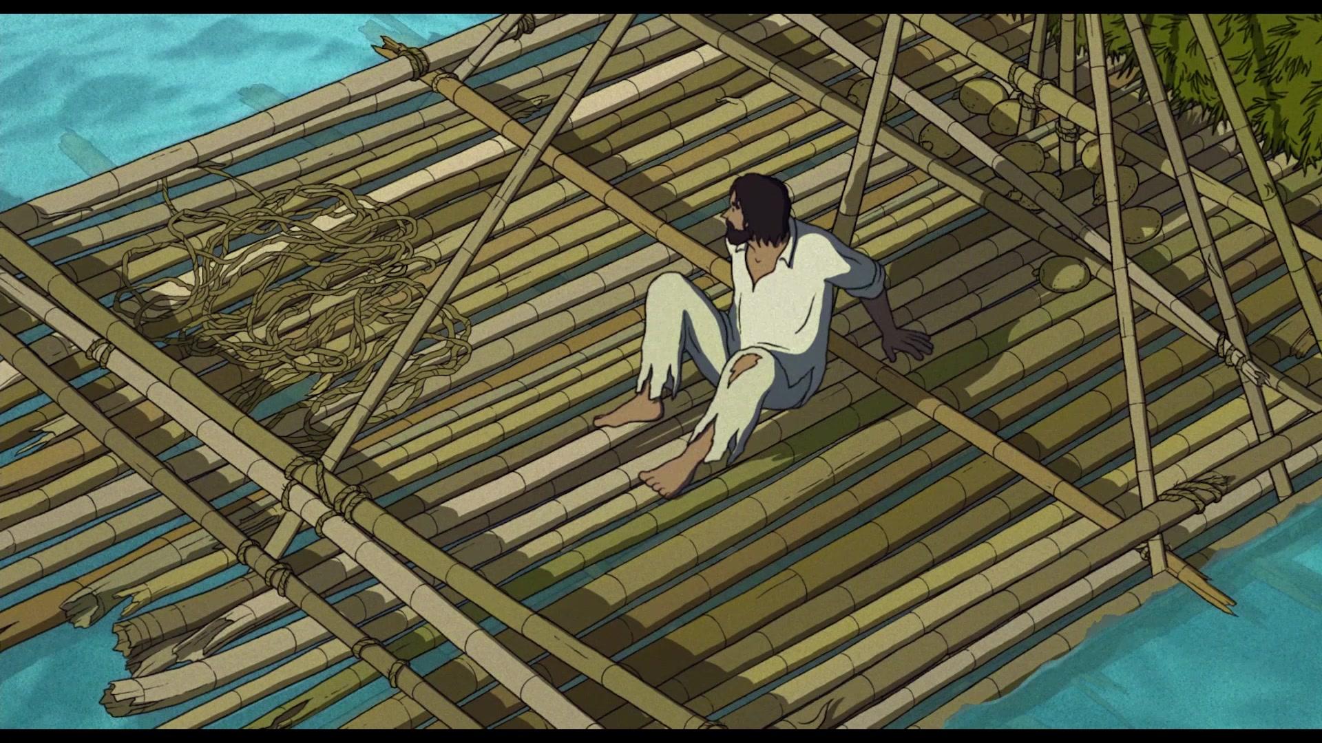 红海龟视频封面图