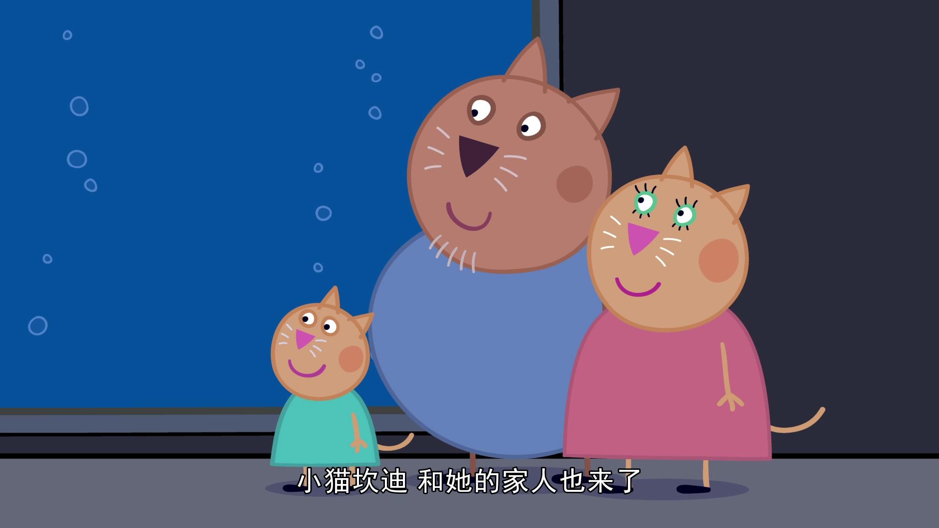 小猪佩奇第六季 第5集视频封面图