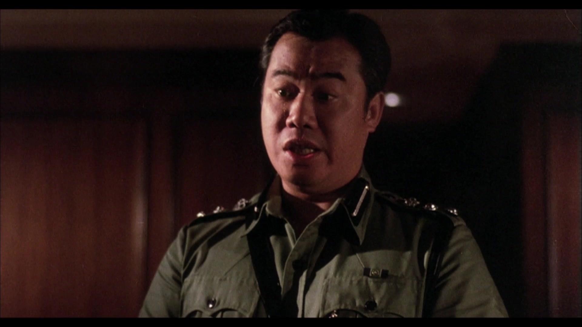 省港旗兵2：兵分两路视频封面图