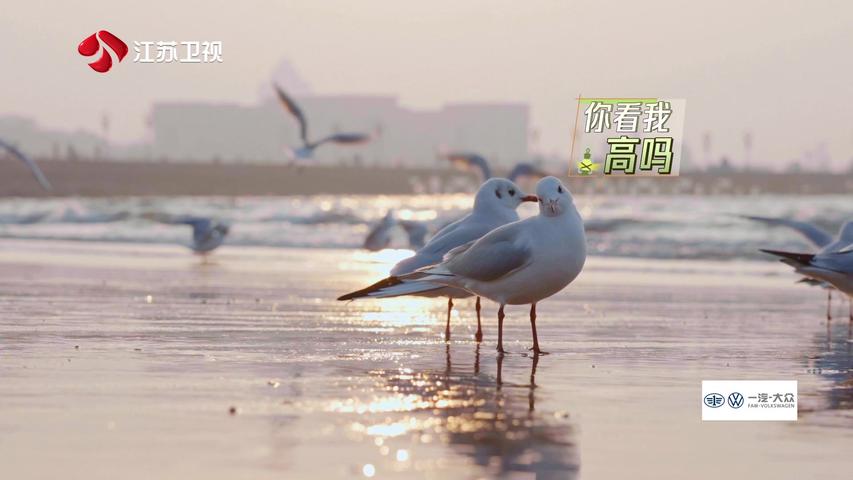 《此刻，向远方》第8期