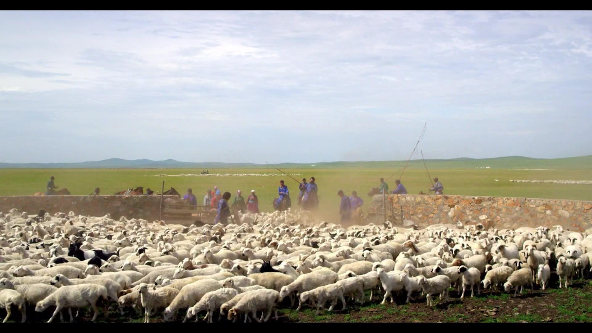 在草原上 第6集视频封面图