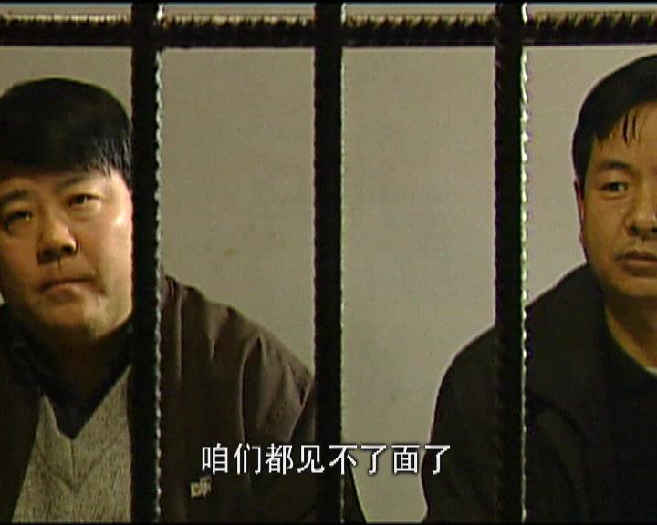 打黑风暴 第15集视频封面图